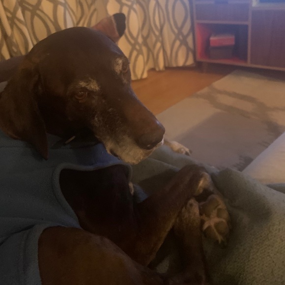 Meet your Posher, Erin - Picture 1 of 1